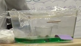 Aquarium demo